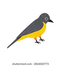 An editable flat vector showing wild yellow kingbird asset