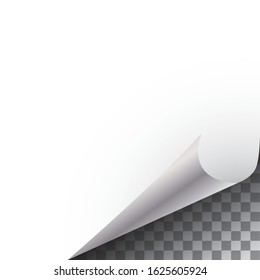 Editable flip paper vector pattern