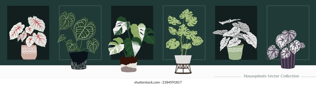 La decoración de mansión gráfica editable en casa vasija colección vectorial. Isoladas ilustraciones artísticas y modernas macetas de plantas de casas tropicales sobre fondo de pared verde oscuro.