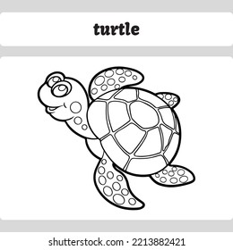 Editable Illustrated Coloring Turtle Worksheet Template