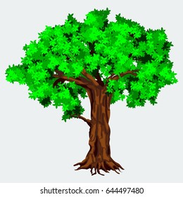 Editable Isolated Detailed Dense Tree Vector for Ecology or Botany and Environment Related Illustration