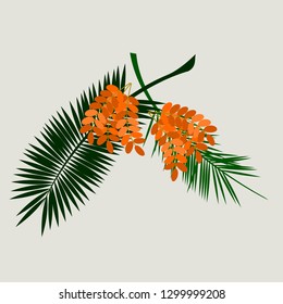 Editable Isolated Flat Style Date Palm Fruits With Stalks and Leaves on Light Background Vector Illustration for Islamic or Arab Nature and Culture Also Healthy Foods Related Design