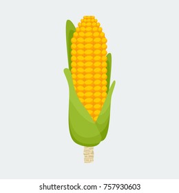 Editable Isolated Standing Up Direction Corn Vector Illustration for Thanksgiving Day