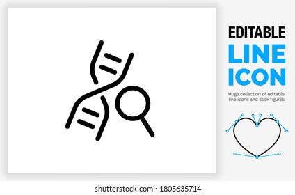 Editable line icon of a DNA string used for biology research in laboratory for genetic modification with a looking glass as a symbol for looking at the separate gnome  parts in a black stroke as eps