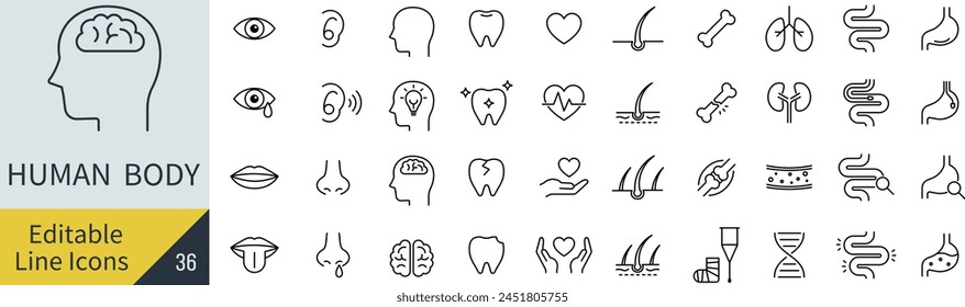 Editable Line Vector Human Body Icon Set (Not Outlined)