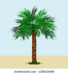 Editable Long Trunk Date Palm Tree With Grass at the Bottom on Simple Background Vector Illustration for Islamic or Arab Nature and Culture Also Healthy Foods Related Design