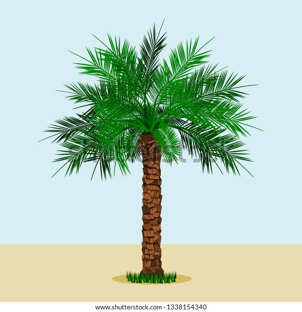 Editable Long\
Trunk Date Palm Tree With Grass at the Bottom on Simple Background\
Vector Illustration for Islamic or Arab Nature and Culture Also\
Healthy Foods Related\
Design