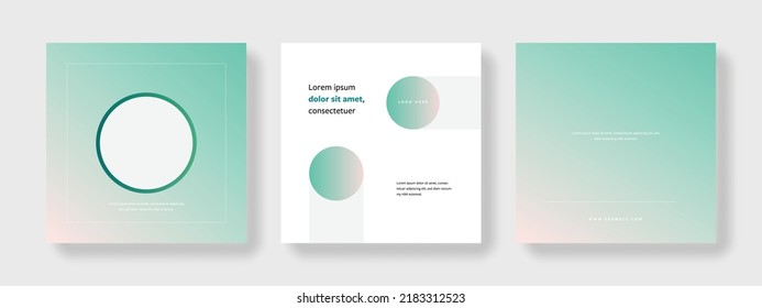 Editable social media layouts, square web banners for business networks, vector background for branding, minimalist online presentation for digital marketing, universal mobile templates, post mockups