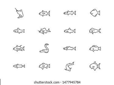 Editable Stroke. Fish Species Thin Line Vector Icon Set