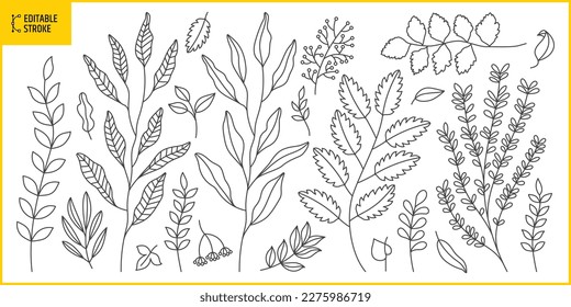 Editable stroke leaves. Hand drawn vector illustration. Line thickness can be changed.