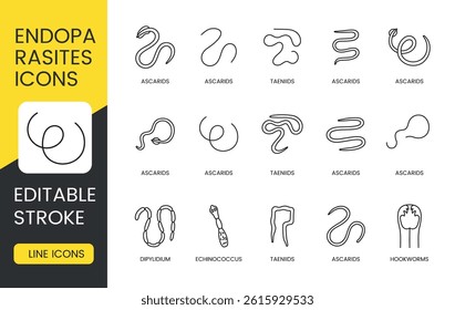 Editable stroke vector line icons of endoparasites including roundworms hookworms tapeworms and echinococcus perfect for veterinary infographics medical visuals and pet health apps