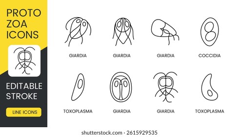 Editable stroke vector line icons of protozoan parasites including Giardia Coccidia and Toxoplasma perfect for medical infographics veterinary materials and educational designs
