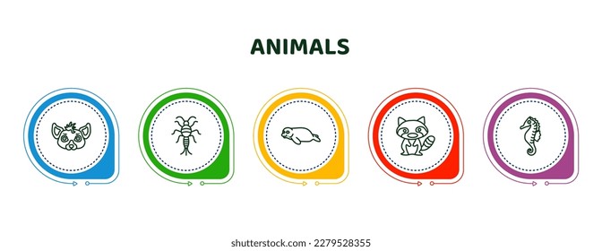 editable thin line icons with infographic template. infographic for animals concept. included hyena, silverfish, seal, raccoon, seahorse icons.