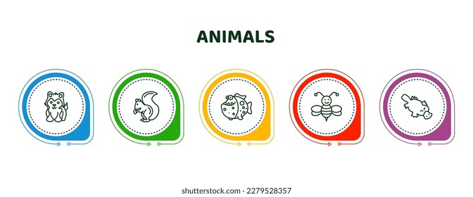 editable thin line icons with infographic template. infographic for animals concept. included siberian husky, squirrel, piranha, bee, platypus icons.