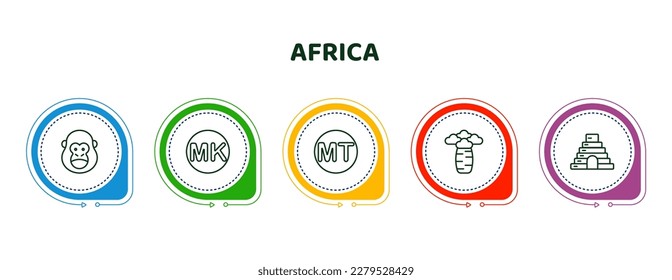 editable thin line icons with infographic template. infographic for africa concept. included gorilla, malawian kwacha, mozambican metical, baobab, cradle of humankind icons.