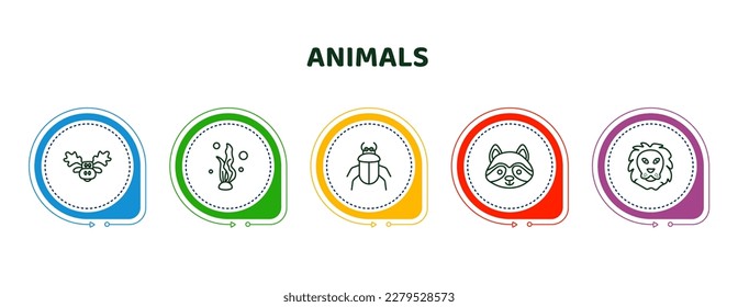 editable thin line icons with infographic template. infographic for animals concept. included moose, seaweed, beetle, racoon, lion icons.