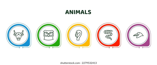 editable thin line icons with infographic template. infographic for animals concept. included bull, big owl, flamingo, coral snake, crow icons.