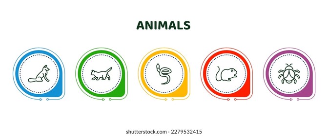 editable thin line icons with infographic template. infographic for animals concept. included fox sitting, kitten, blindworm, hamster, big bug icons.