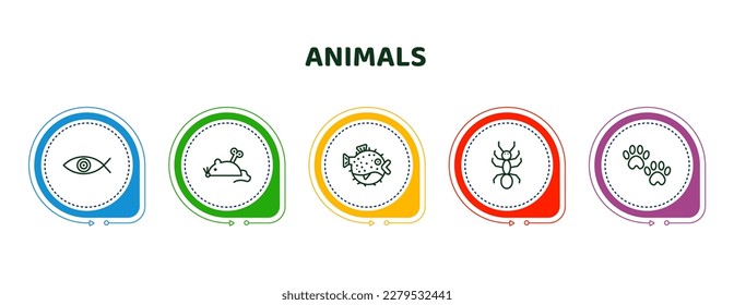 editable thin line icons with infographic template. infographic for animals concept. included fish eye, mouse toy, blowfish, ant, pawprint icons.