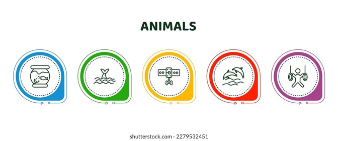 editable thin line icons with infographic template. infographic for animals concept. included fishbowl, whale zone, leash, dolphins, trapeze artists icons.