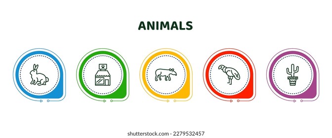 editable thin line icons with infographic template. infographic for animals concept. included sitting rabbit, pet shop, tapir, condor, boho icons.