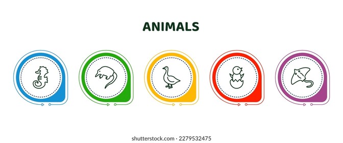 editable thin line icons with infographic template. infographic for animals concept. included sea horse, desman, goose, chick, stingray icons.