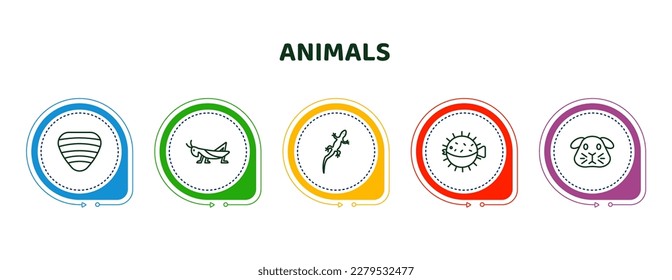 editable thin line icons with infographic template. infographic for animals concept. included clam, grasshopper, gecko, puffer, guinea pig icons.