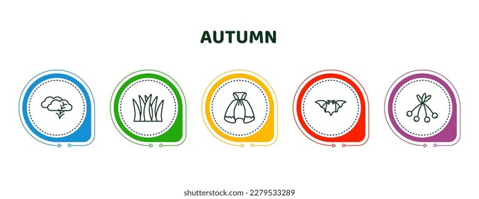 editable thin line icons with infographic template. infographic for autumn concept. included bird migration, grass, cloak, bat, rowan icons.
