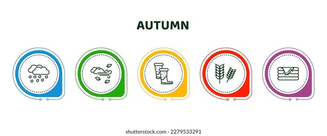 editable thin line icons with infographic template. infographic for autumn concept. included rain, windy, rubber roots, rye, blanket icons.