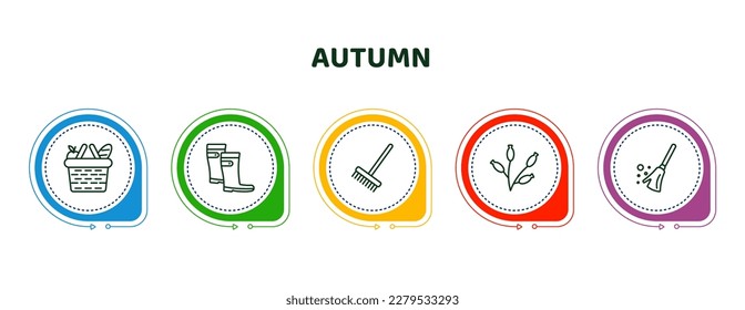 editable thin line icons with infographic template. infographic for autumn concept. included picnic basket, rain boots, rake, rosa canina, broom icons.