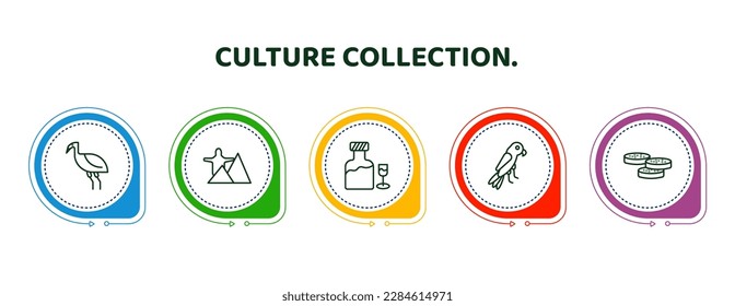 editable thin line icons with infographic template. infographic for culture collection. concept. included australian emu, rio de janeiro, orujo, aw on a branch, mantecados icons.