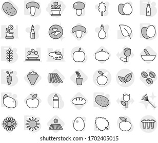 Editable thin line isolated vector icon set - flower, apple vector, leafs, bed, vegetable oil, gas oven, eggs, mushroom, potato, spikelets, carrot, lemon, mortar, coffee seeds, berry, field, pumpkin