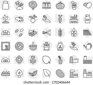 Editable thin line isolated vector icon set - flower, leafs vector, hangare, factory, greenhouse, perishable, island, in window, ladle, flour, spikelets, carrot, seeds, field, harvest, seedling, pot