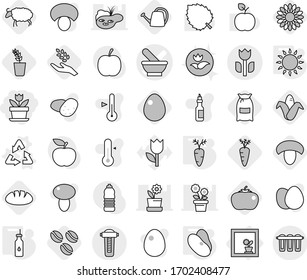Editable thin line isolated vector icon set - flower, mortar vector, perishable, in window, recycle, vegetable oil, gas oven, beans, carrot, coffee seeds, mushroom, flour, harvest, corn, seedling
