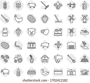 Editable thin line isolated vector icon set - spikelets vector, bunker, windmill, greenhouse, potato, plow, soil cutter, cow, coffee seeds, field, shovel, fork, sickle, flour, pig, grape, harvest