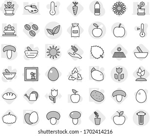 Editable thin line isolated vector icon set - flower, apple vector, leafs, bed, perishable, in window, recycle, gas oven, eggs, mushroom, potato, lemon, mortar, coffee seeds, field, flour, harvest