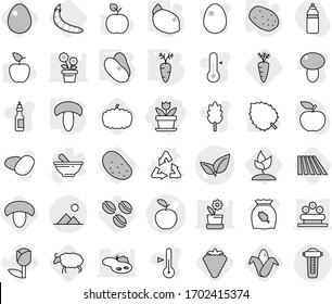 Editable thin line isolated vector icon set - flower, apple vector, leafs, bed, landscape, recycle, mushroom, potato, beans, carrot, lemon, coffee seeds, berry, field, corn, sheep, sprouting, egg