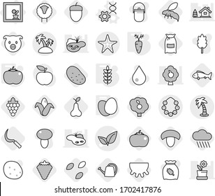 Editable thin line isolated vector icon set - leafs vector, palm, island, hawaiian wreath, starfish, flower in window, dna edit, eggs, tomato, spikelets, carrot, sheep, seeds, berry, rain cloud, pig