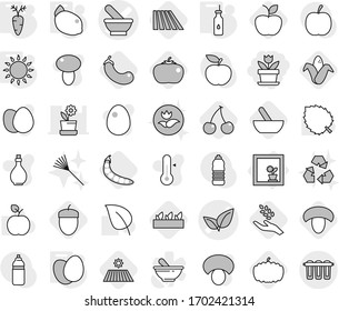 Editable thin line isolated vector icon set - flower, mortar vector, leafs, in window, vegetable oil, gas oven, eggs, carrot, lemon, field, cherry, mushroom, harvest, corn, seedling, eggplant, apple