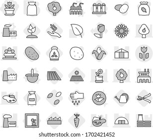 Editable thin line isolated vector icon set - flower, hangare, factory, greenhouse, bed, perishable, in window, vector, ladle, flour, seeds, field, harvest, corn, seedling, sprouting, sow, pruner