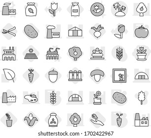 Editable thin line isolated vector icon set - flower, hangare, factory, greenhouse, bed, island, in window, vector, potato, tomato, spikelets, carrot, field, mushroom, flour, corn, seedling, beet