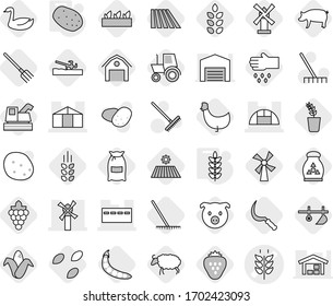 Editable thin line isolated vector icon set - spikelets vector, bunker, windmill, greenhouse, potato, plow, soil cutter, seeds, field, fork, rake, sickle, flour, pig, grape, corn, seedling, goose