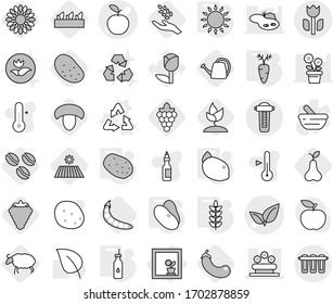 Editable thin line isolated vector icon set - apple vector, leafs, flower bed, perishable, in window, recycle, vegetable oil, gas oven, potato, spikelets, beans, carrot, lemon, coffee seeds, berry