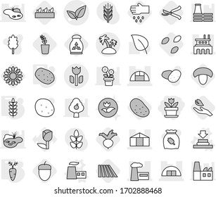 Editable thin line isolated vector icon set - flower, leafs vector, hangare, factory, greenhouse, perishable, island, press, potato, spikelets, carrot, seeds, field, mushroom, seedling, beet, sow