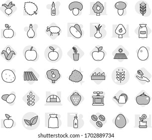 Editable thin line isolated vector icon set - apple vector, spikelets, leafs, greenhouse, vegetable oil, flour, beans, onion, coffee seeds, field, corn, seedling, sheep, beet, hand leaf, tomato, egg