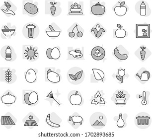 Editable thin line isolated vector icon set - flower, leafs vector, bed, landscape, in window, recycle, gas oven, eggs, potato, tomato, spikelets, carrot, lemon, mortar, field, cherry, harvest, corn
