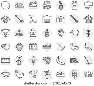 Editable thin line isolated vector icon set - spikelets vector, bunker, windmill, greenhouse, soil cutter, cow, coffee seeds, field, shovel, fork, rake, sickle, flour, pig, grape, corn, seedling