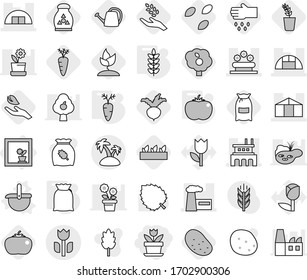Editable thin line isolated vector icon set - flower, hangare, factory, greenhouse, bed, perishable, island, in window, ladle vector, flour, tomato, spikelets, carrot, seeds, harvest, seedling, beet
