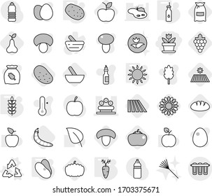 Editable thin line isolated vector icon set - flower, bed, recycle vector, vegetable oil, gas oven, potato, spikelets, beans, carrot, mortar, field, mushroom, flour, grape, apple, pear, pumpkin, egg