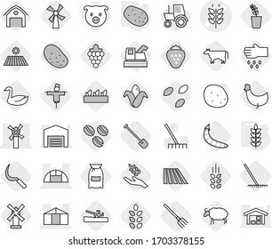 Editable thin line isolated vector icon set - spikelets vector, windmill, greenhouse, potato, soil cutter, cow, coffee seeds, field, shovel, fork, rake, sickle, flour, pig, grape, harvest, corn, sow